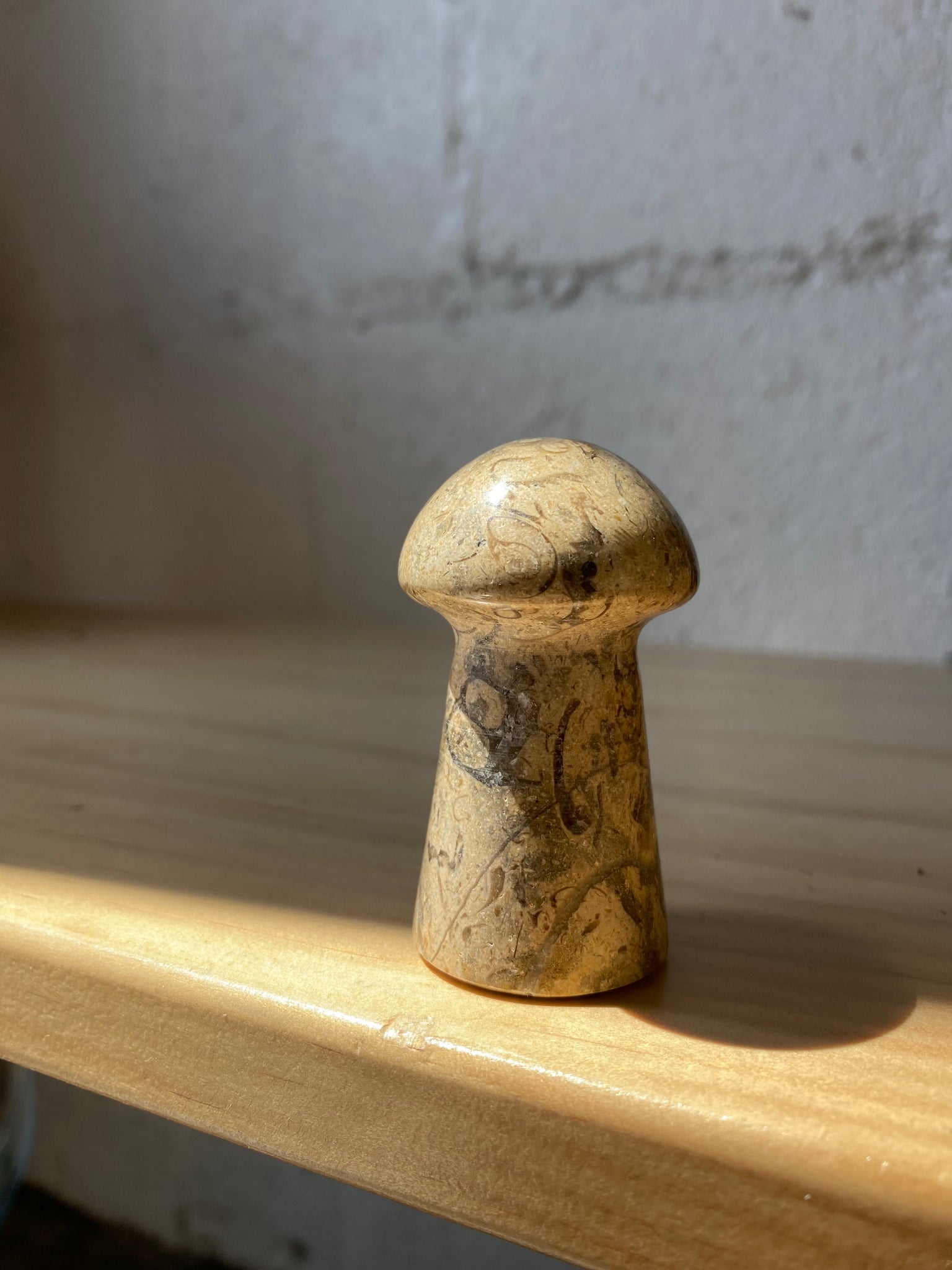 Carved Fossil Mushroom Sculptures